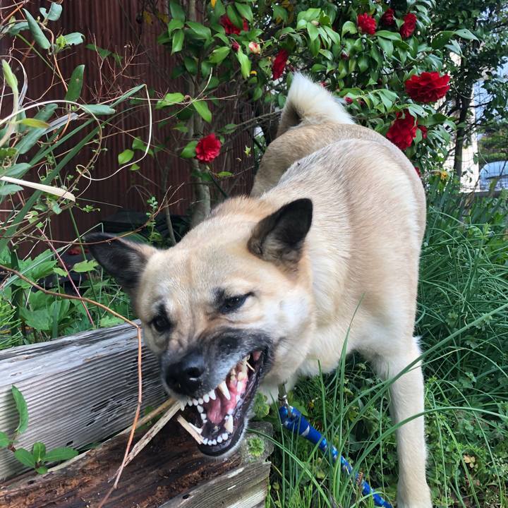 Aa65f260 444a 41e1 8fc7 66ab1c628e16 1523091607407