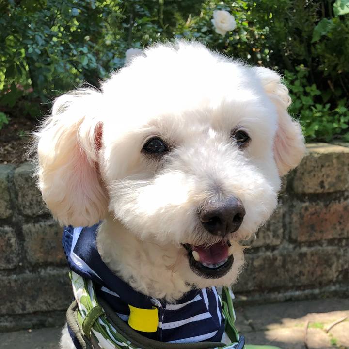 Aa662f19 1a5e 405f a892 4c2fba1a4fa8 1526946076086