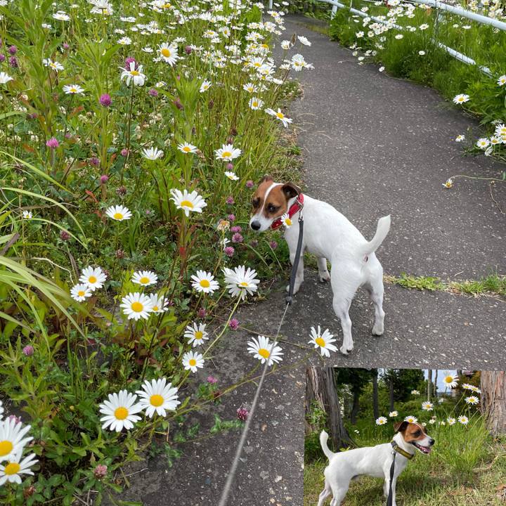 Aa6645cc 8d16 4204 9295 6246f07f1eb6 1655179177572