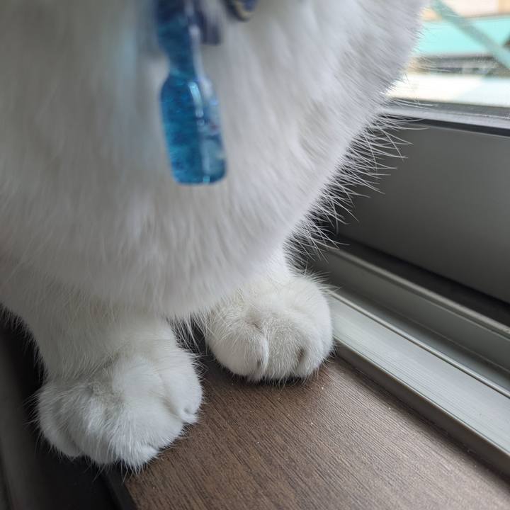 Aa66c1c9 a48f 4c5d a51d 5dca8b979de0 1774151933078