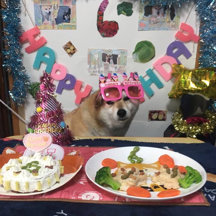 Aa66d202 cdeb 4691 b592 c4431640baca 1605043638456