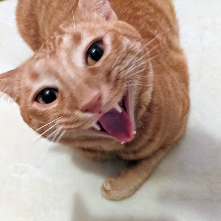 Aa671163 2c64 49f2 ae31 2b3fc2eb4045 1629377326901