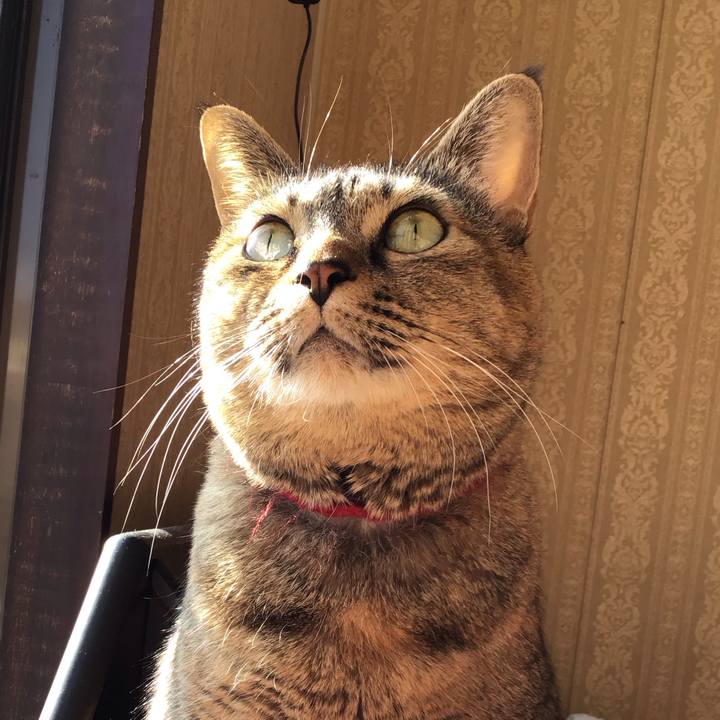 Aa674395 1ee3 4f30 bf88 80ac70f5c459 1703488709965