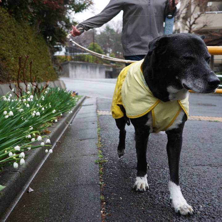 Aa674a9e ef5c 4e8e 9433 5ad784fb74d1 1772499479295