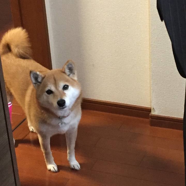 Aa67622a 395e 402c af5e c000fc4bf34d 1554075605366