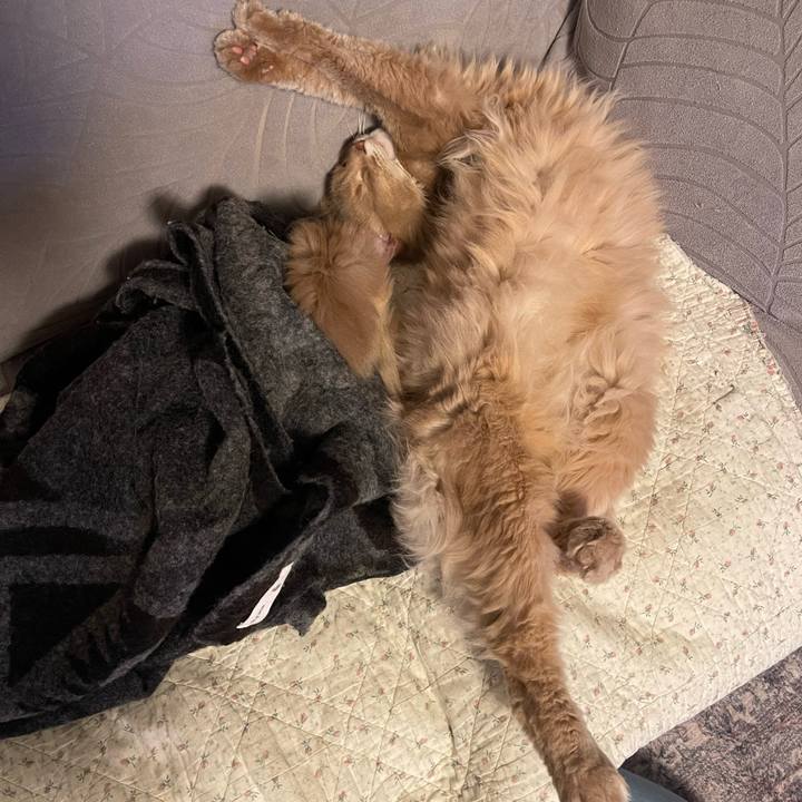 Aa676a36 70ac 4df8 b6de 86849fe99651 1742821966826