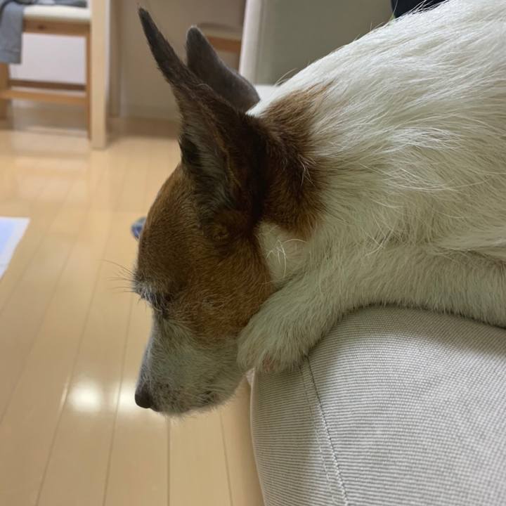 Aa67a0f3 36d6 43d4 8b12 3e32f6f14ba7 1627171949559