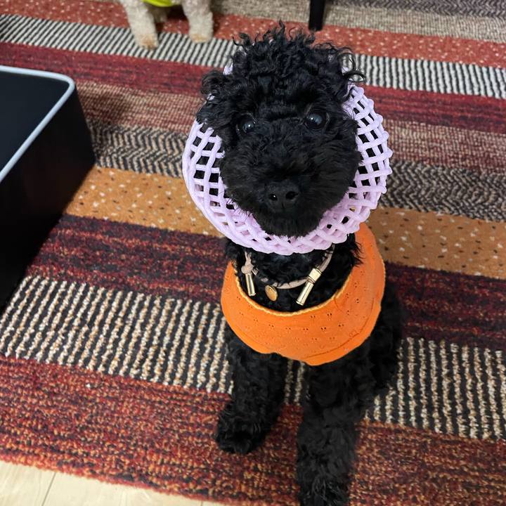 Aa67a2c3 effd 450a b493 707c2b8ad49e 1690458967848