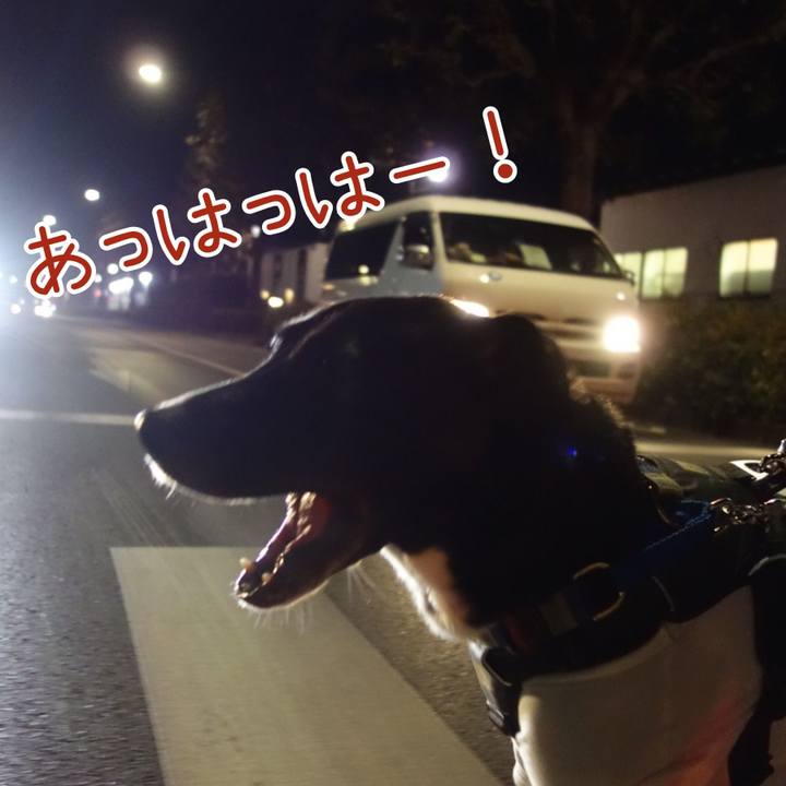 Aa67c81b 647b 4295 9126 4e6506b434bf 1640084288530