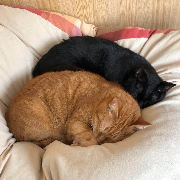 Aa67ceef 633d 4c3d 9b91 3324ec1405df 1679208469391