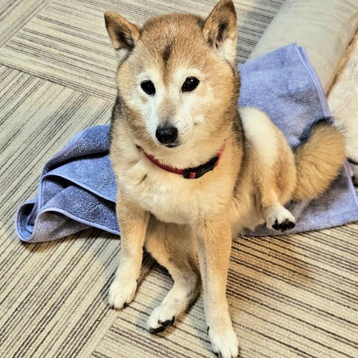 Aa67d3bf aa3d 45b0 aae0 29e44829eb54 1746778894833