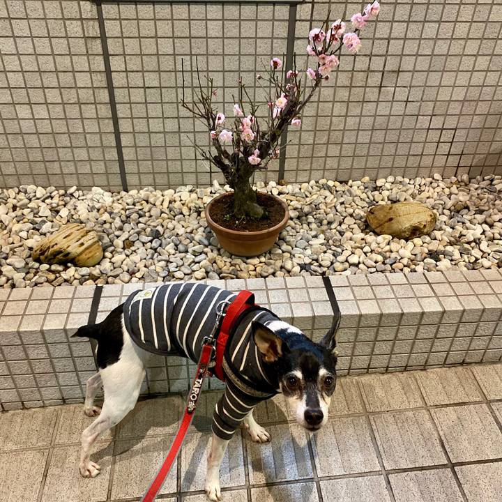 Aa67e29e c234 4d3b b013 2ab2da3afd3c 1581590588150