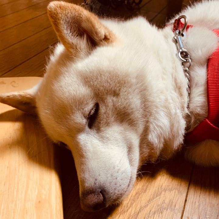 Aa6811e0 4234 46f8 a40c 04773e8c38d0 1586440198778