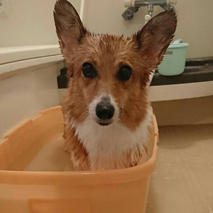 Aa683506 161d 4496 9499 e2ad7ed86f5f 1540204952713