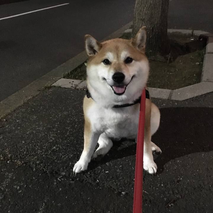 Aa6839ae 9758 40ce 8dfb c6d402b9d268 1592393471733