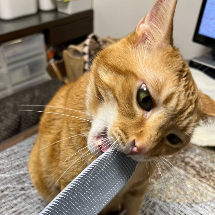 Aa683f89 f48f 4691 8b9a a92252192233 1675031185417