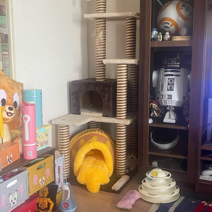 Aa6845c7 03a6 4c78 84c0 a717eda7a4fd 1690687186838