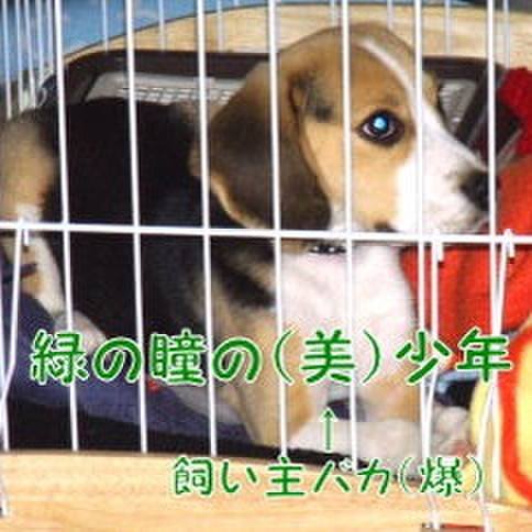 Aa6852f5 63a0 4abd 8e25 363fc186ea88 1677716093922