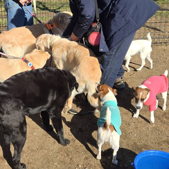 Aa685ab0 bcf1 429b b25d d8846ccdae8b 1766899118286