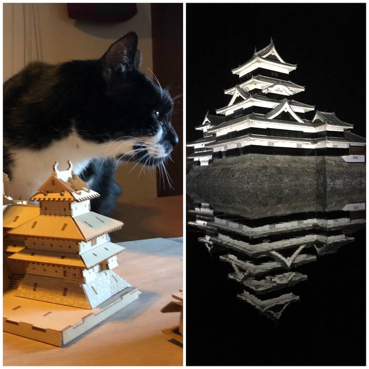 Aa68a810 b3a0 4af8 ba23 8b49e6720089 1578138263402