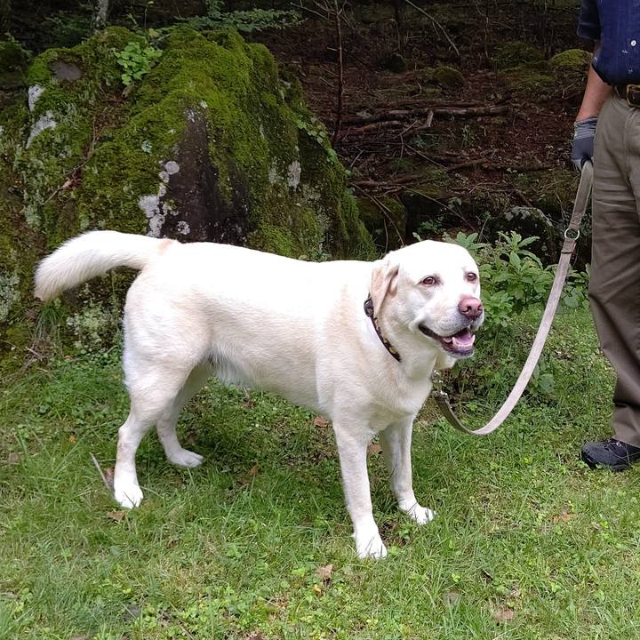 Aa68d1f4 0267 4ee1 a34c e63f80ec44c1 1629083047626