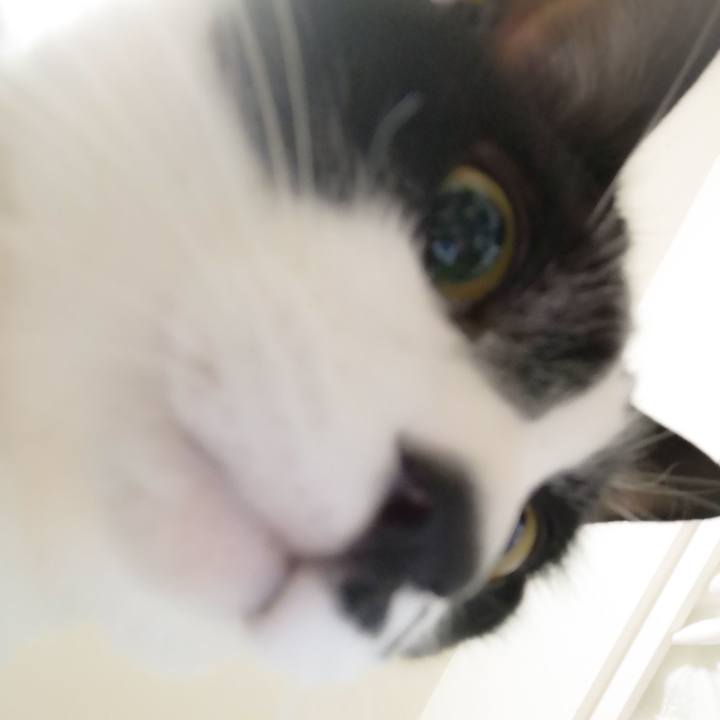 Aa68fec8 fbf8 4be7 a63e c1379e069d10 1575909141857