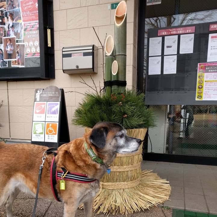 Aa698195 0c9e 4971 9c92 b2027936eb3b 1545868306037