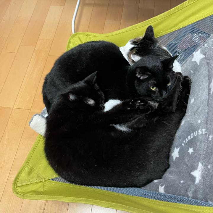 Aa698560 0e91 4675 bf82 2fd95f1d51d1 1731223002645