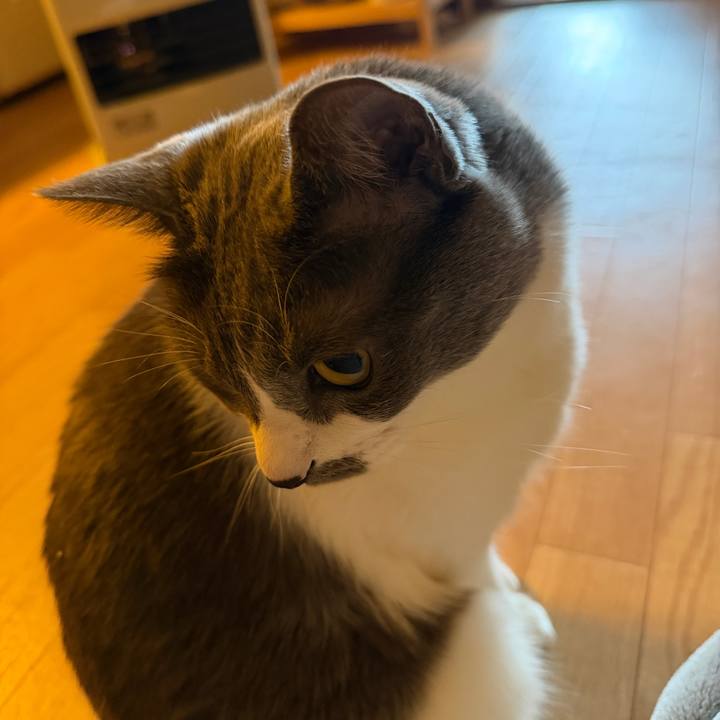 Aa69acaf 3646 4d4d 8984 0b28c8b7d776 1770773873148