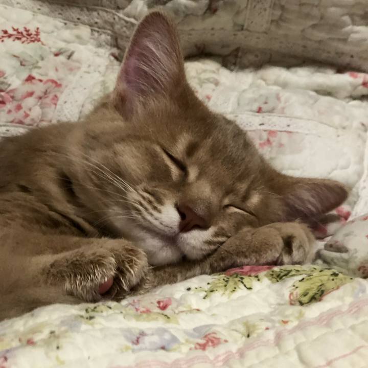 Aa69d777 c317 4af9 bc66 1075ae379ee4 1561849483036