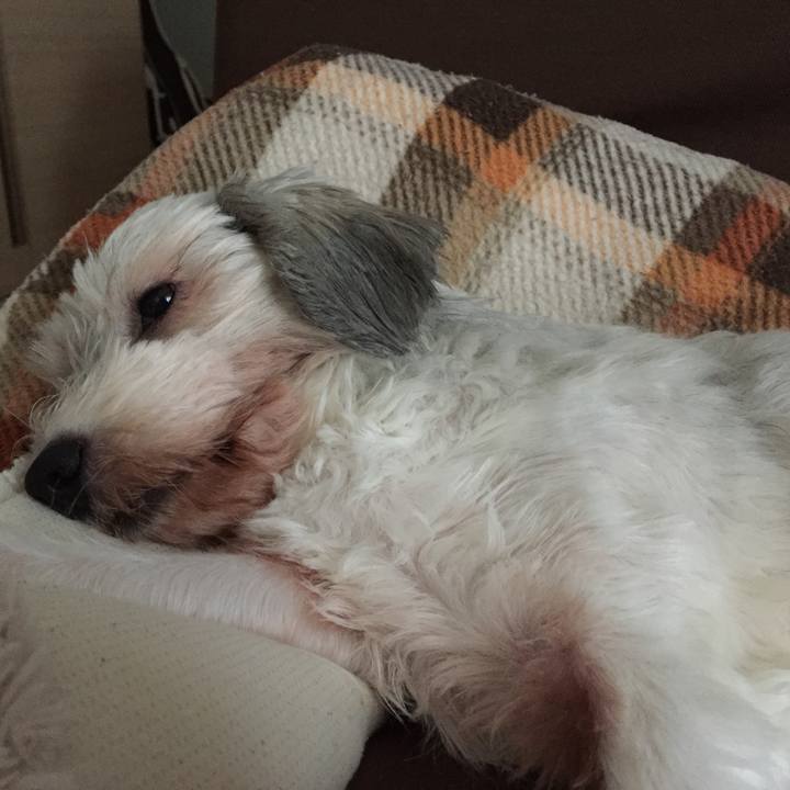 Aa69ddd7 3fb8 49da 8488 4c8d7b0f50ba 1527394951187