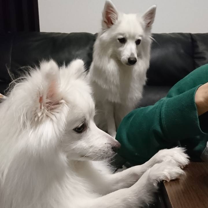 Aa6a04bb 3817 48bd 80a3 455f27f75874 1586940675708