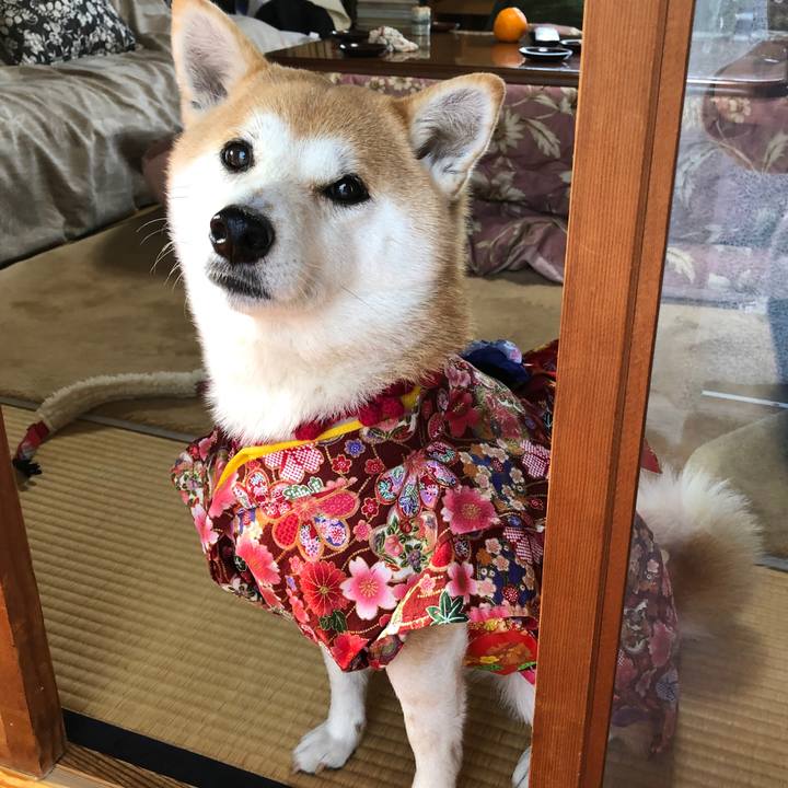 Aa6a07c0 6d95 48a1 a03e 4e41fbc5725a 1546315768065