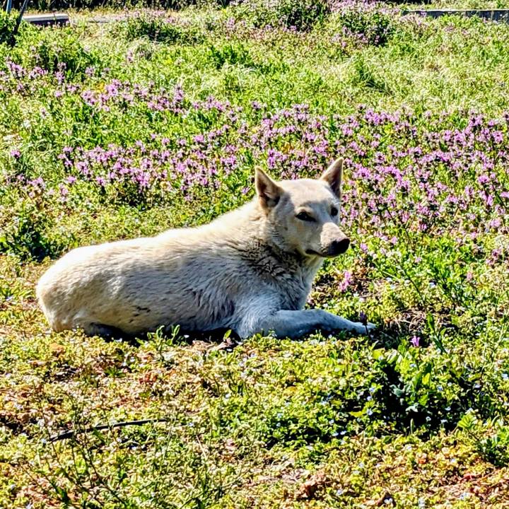 Aa6a3e39 5df3 4dd1 b0fa 2040207c2d25 1773624987594