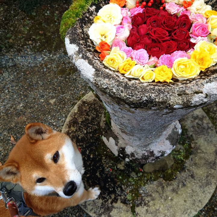 Aa6a4080 4b35 4c1d b406 a5d6798f56b7 1767260279579