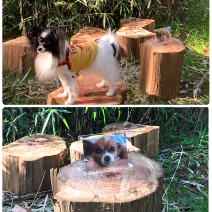 Aa6a511f cac1 4bc0 902c e0839917a2b1 1572685214109