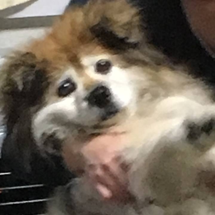 Aa6a7906 1e5d 460f b5f8 f57b21b0472d 1607164755981