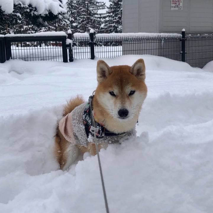 Aa6a806a 056f 433b a8ab dca0022d0b88 1564669439988