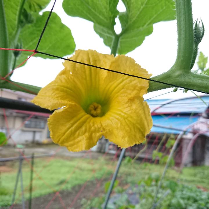 Aa6a96a7 d2f6 4649 a173 043227cae096 1593981544763