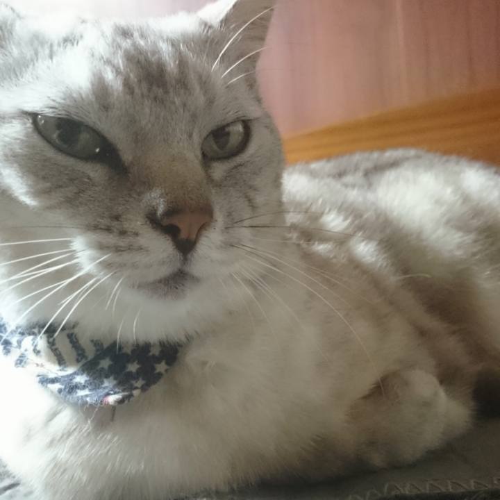 Aa6ae1cf a3e5 4a01 8de2 369a17ac4edf 1571803079351