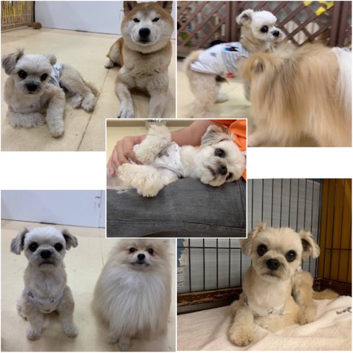 Aa6af2a9 8f9d 4fdd a66d 6bf2a68c11fc 1560515258206