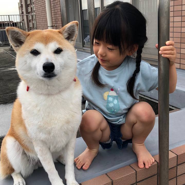 Aa6afacf ffad 403b baa0 062db4d1d397 1623804682888