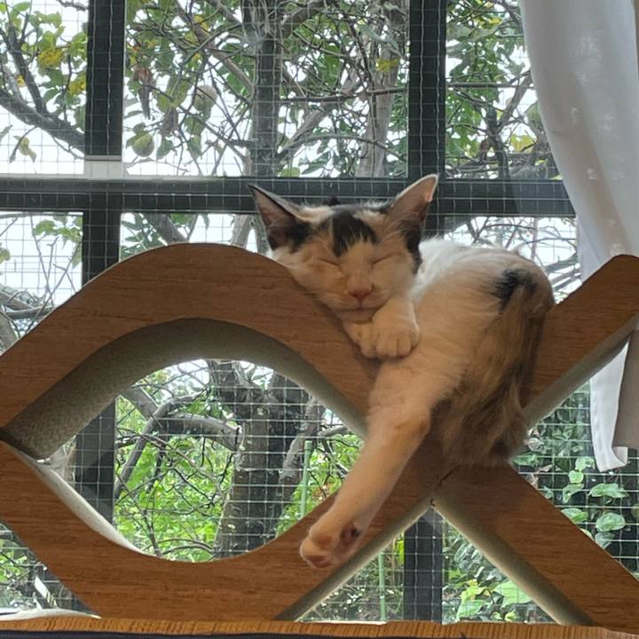 Aa6b05db f5f6 47b9 be7f 3567ed0180d7 1663975420523