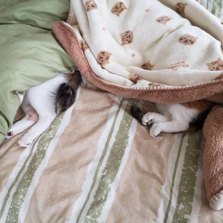 Aa6b0a23 6881 4ffc 9b3d 14a95f238cac 1618041042233