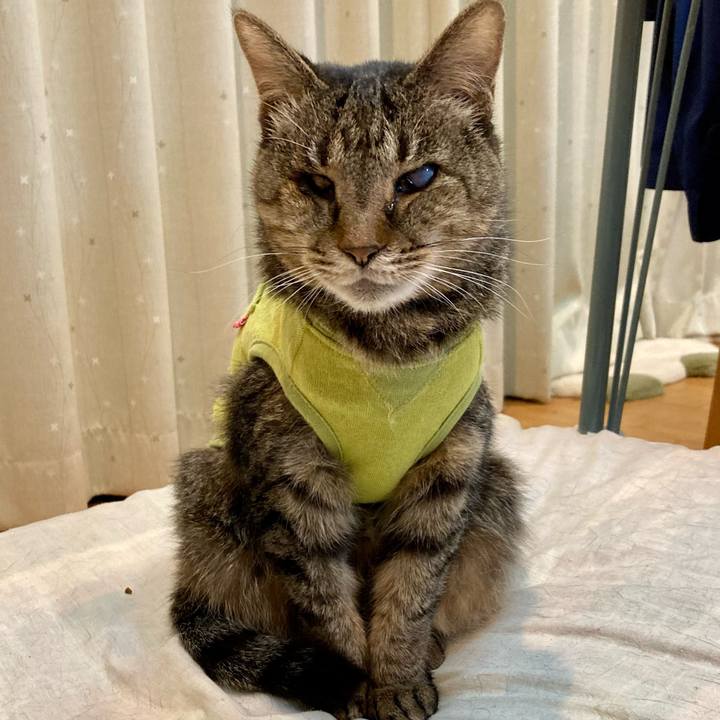 Aa6b462f acbb 4961 8d17 eb08ba08d7be 1680601820145