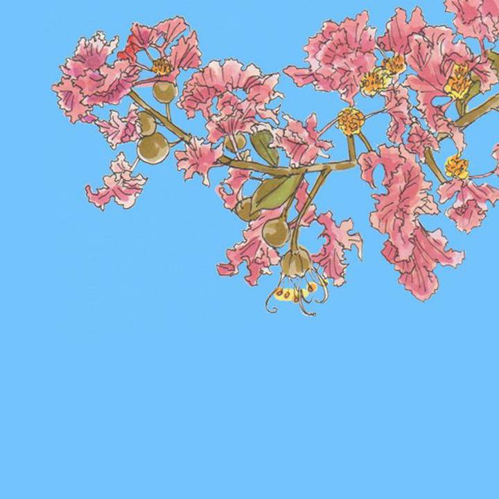 Aa6b65f3 076f 4ba2 b02d 6f575f211ac2 1625319558225