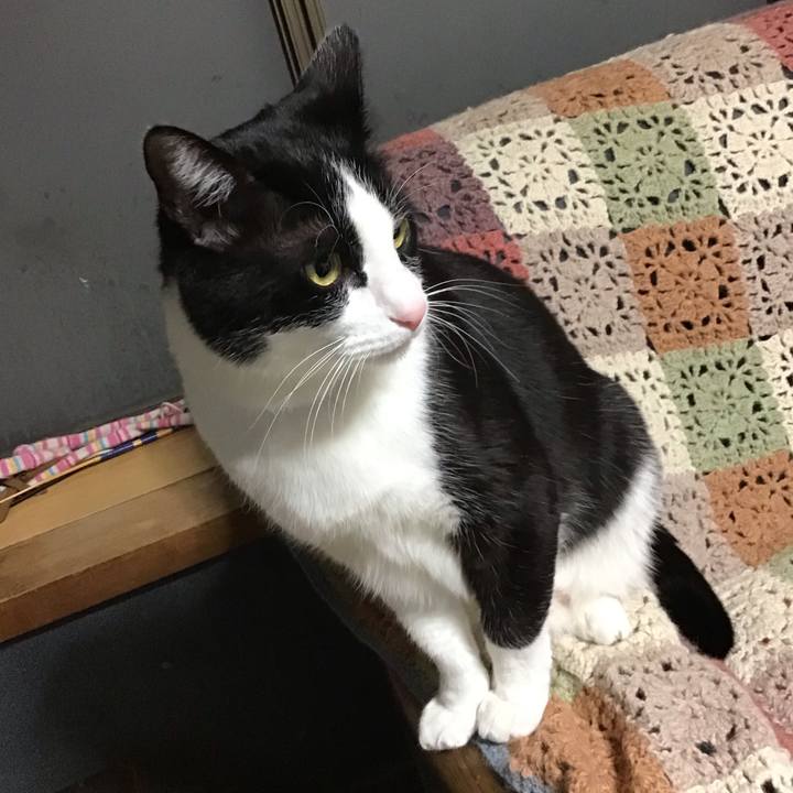 Aa6ba712 5ec3 47ec a4a7 6b0dc9a9b3aa 1707559873833