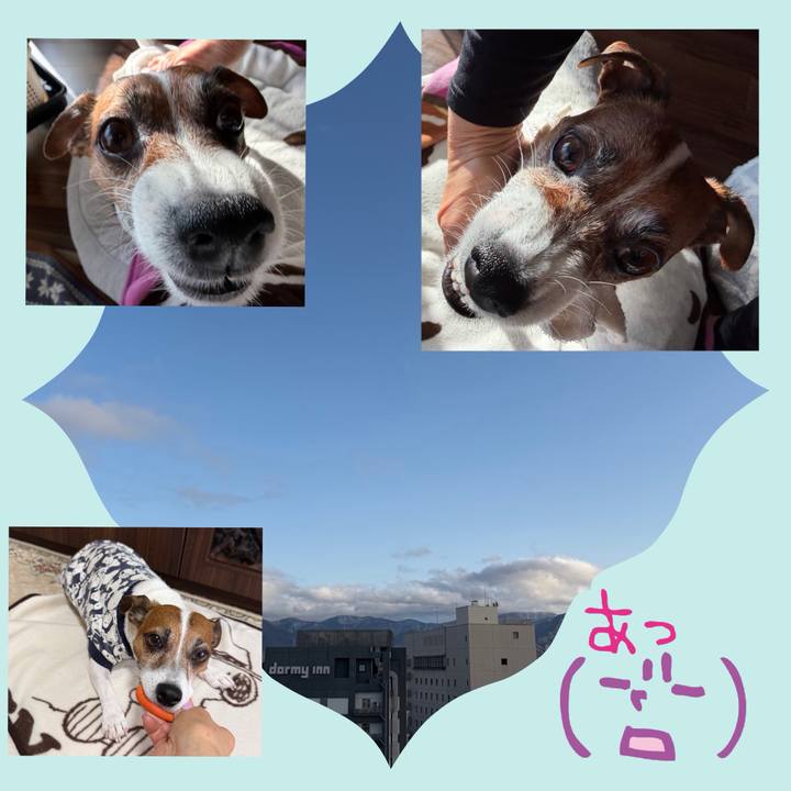 Aa6bb9df 4e32 4c1d acab b227f583db07 1768786183980