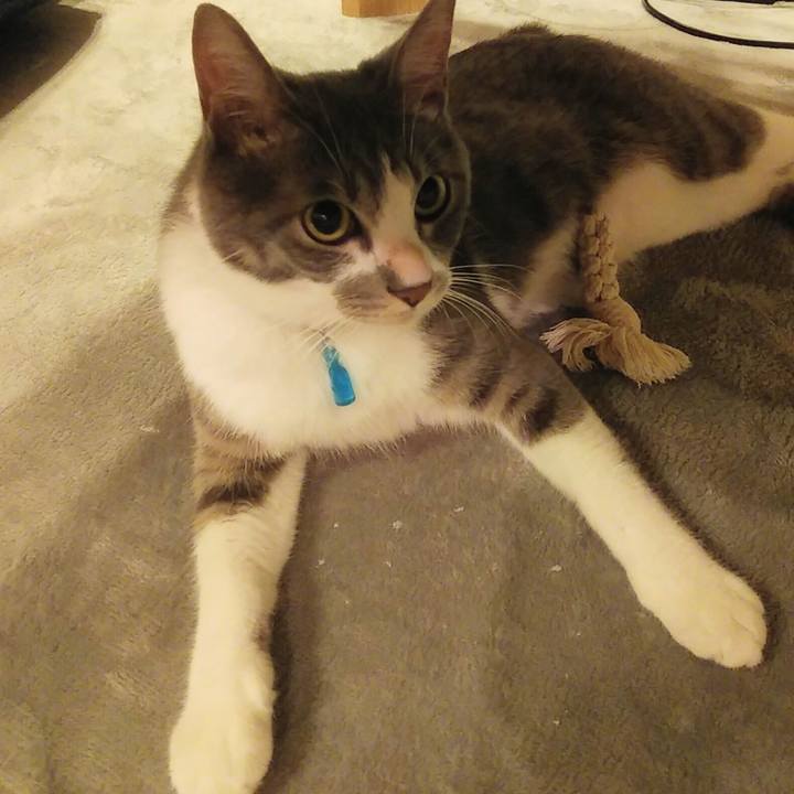 Aa6bcb88 ae3c 4e25 bc79 3fb35234d9b8 1592228016890