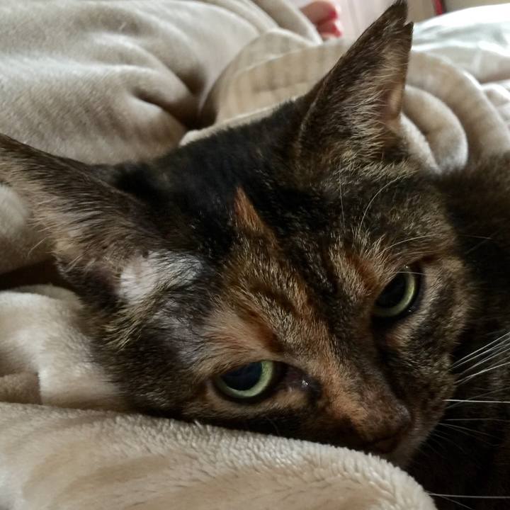 Aa6be1c8 6729 4bce 84d2 f692a375d4d1 1563795543243